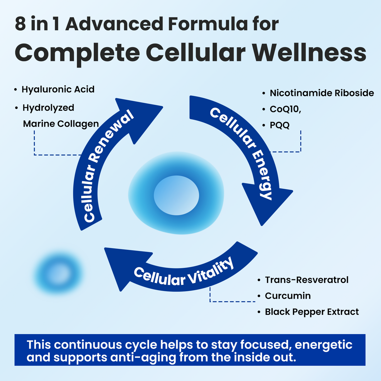 WepBio NAD Supplement for Women and Men, Supports Cellular Energy, Vitality & Healthy Aging