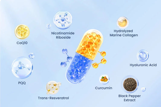 Enhanced Absorption NAD Supplement