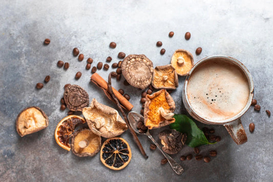 caffeine-free mushroom coffee_5