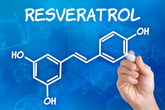 wepbio resveratrol supplement