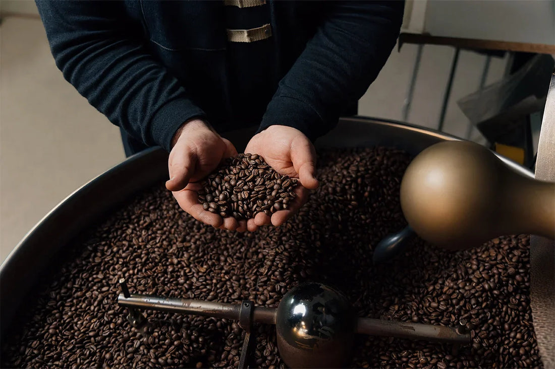 The Ultimate Guide on How to Use Mushroom Powder in Coffee for Supercharged Benefits
