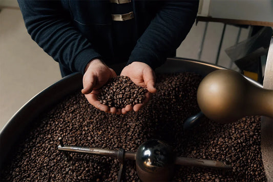 The Ultimate Guide on How to Use Mushroom Powder in Coffee for Supercharged Benefits
