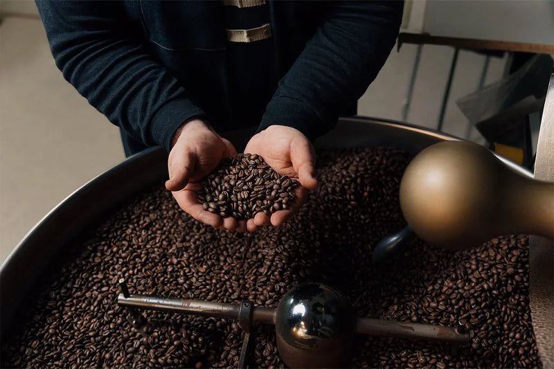 The Ultimate Guide on How to Use Mushroom Powder in Coffee for Supercharged Benefits