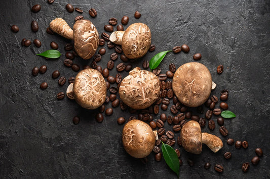 mushroom coffee market growth trends 2025