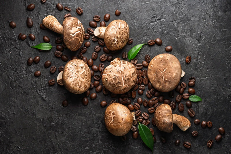 Beyond the Hype: Navigating the Key Mushroom Coffee Market Growth Trends 2025 as a Discerning Drinker