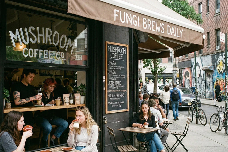 Mushroom Coffee Nearby? The Search For Quality and the Smarter Alternative