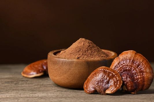 organic reishi mushroom powder