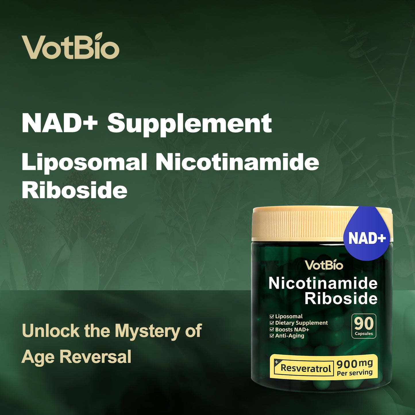 Liposomal NAD+ Supplement, Nicotinamide Riboside with Resveratrol 900mg for Women and Men, High Purity NAD Booster Supplement for Energy & Healthy Aging - 90 Capsules