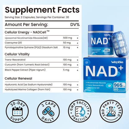 WepBio NAD Supplement for Women and Men, Supports Cellular Energy, Vitality & Healthy Aging